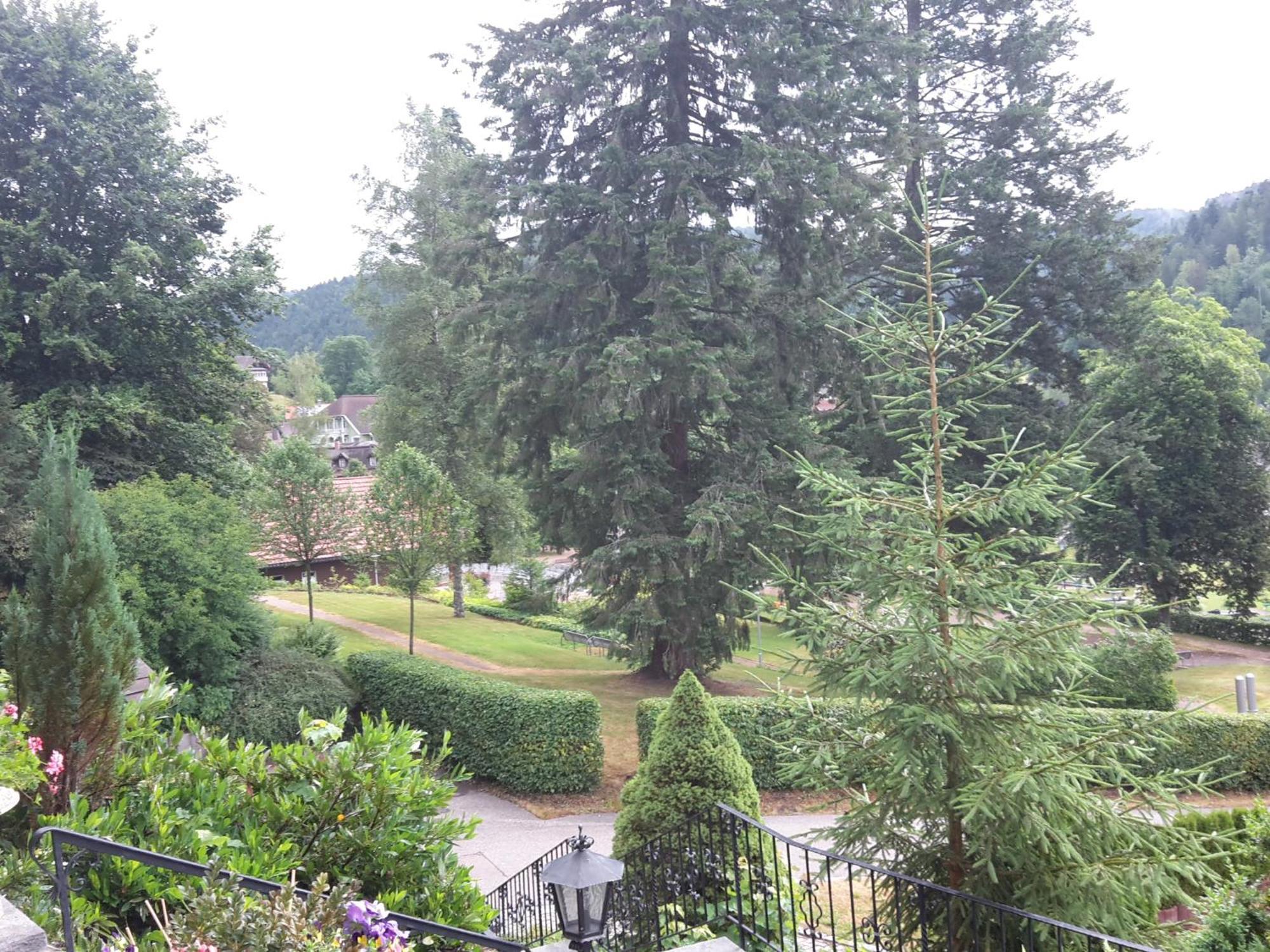 Haus Kurparkblick Villa Todtmoos Bagian luar foto