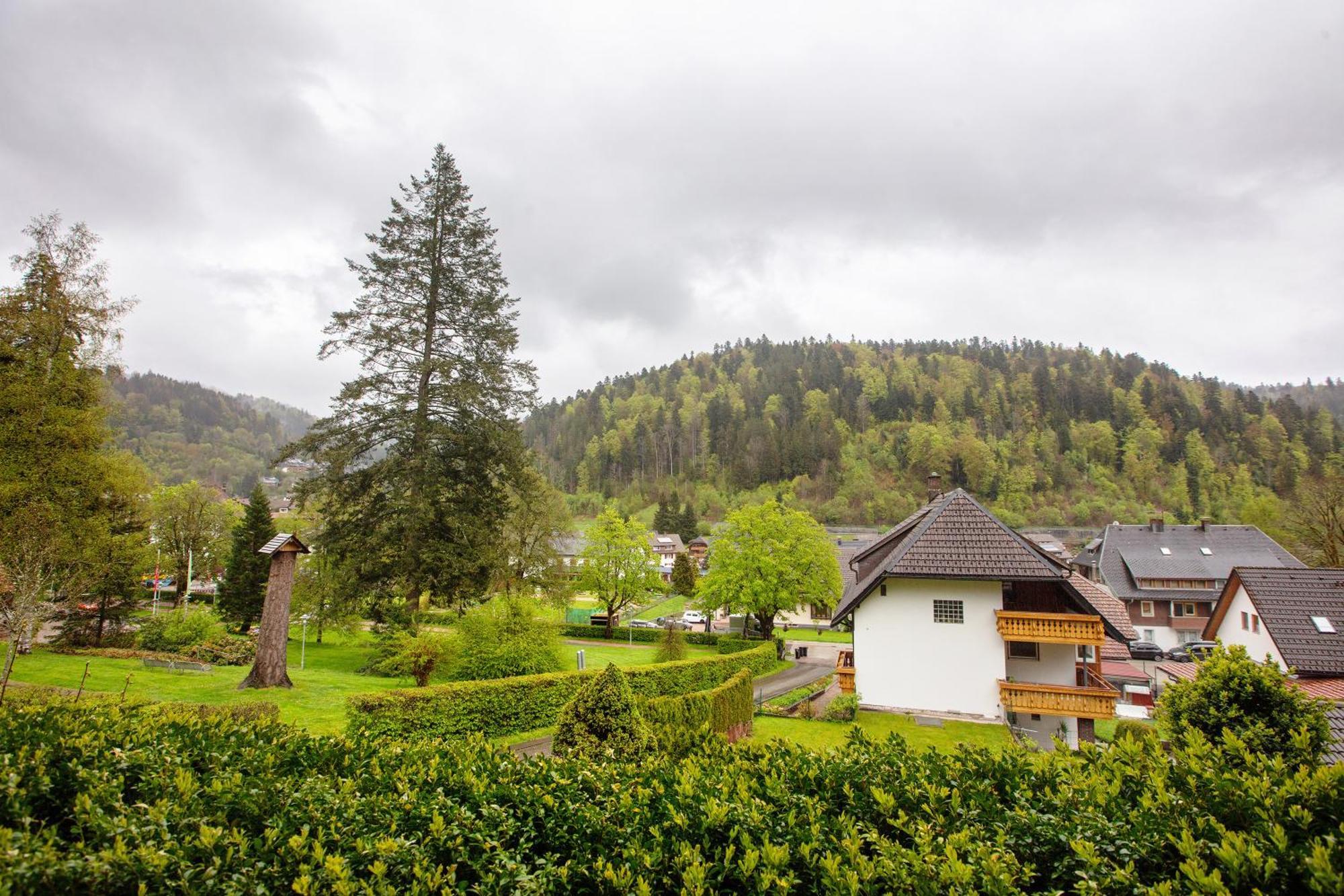Haus Kurparkblick Villa Todtmoos Bagian luar foto